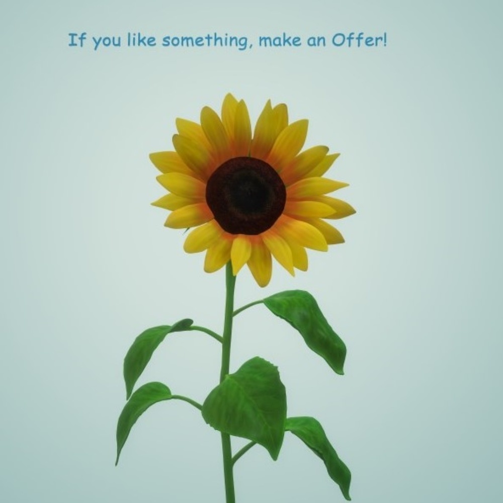 If you Like something, Make an Offer!